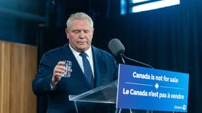 Doug Ford, Premier ministre de l'Ontario