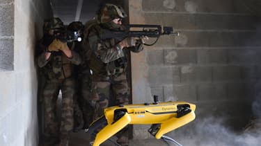 Le robot Spot aux côtés de l'Armée de Terre
