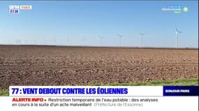 Seine-et-Marne: des habitants opposés à un projet d'installation d'éoliennes