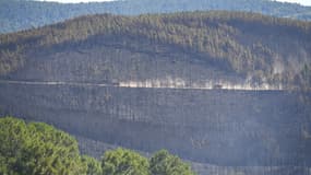 Forêts calcinées près de Bessèges. 