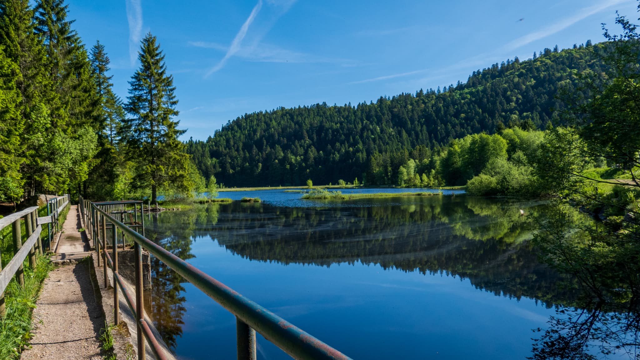 Le lac de Lispach, dans les Vosges, offre un paysage aux allures canadiennes.