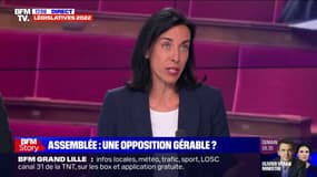 Alexandra Masson: "Il n'y a a priori aucune raison qu'on vote" une motion de censure déposée par LFI