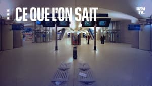 La police est intervenue mardi 31 octobre 2023 en gare Bibliothèque François-Mitterrand du RER C, à Paris, et a ouvert le feu sur une femme qui proférait des menaces et faisait l'apologie du terrorisme.