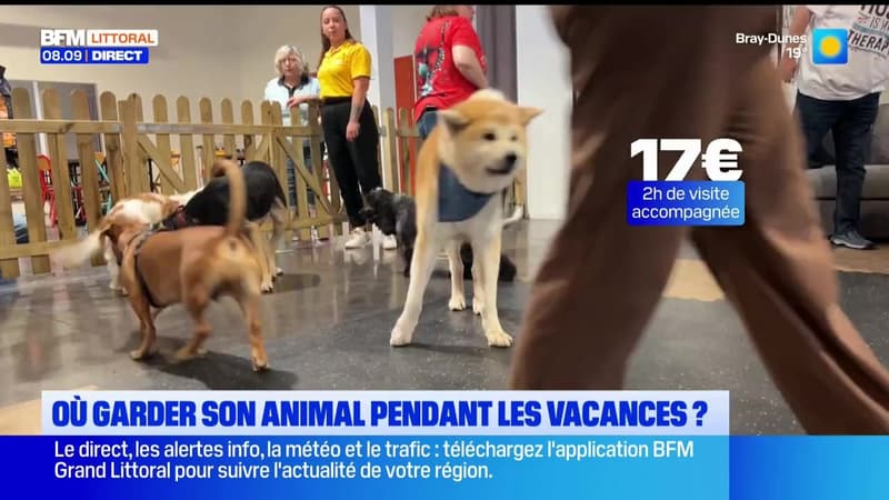 Le journal de 8h du mardi 11 août 2026