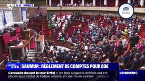 Des députés de gauche habillés en vert, blanc, rouge et noir , les couleurs du drapeau palestinien