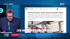 « Les 3 histoires de Charles Magnien » : Parler à un cheval comme à un bébé, changer de nom de famille pour des sushis gratuits, et une île écossaise mise aux enchères - 23/03