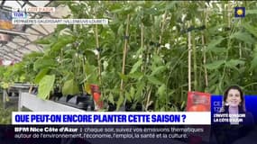 Villeneuve-Loubet: les conseils jardinage des pépinières Gaudissart