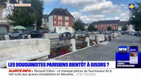 Les bouquinistes parisiens, menacés pendant la période des JO, seront-ils bientôt à Gisors?