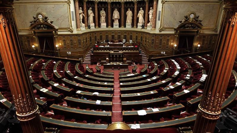 Les sénateurs français engagent ce jeudi l'examen du projet de loi ouvrant le mariage et l'adoption aux homosexuels que dénoncent vivement l'opposition de droite et l'Eglise catholique, mais le climat devrait être beaucoup plus apaisé qu'à l'Assemblée. /P