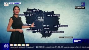 Météo Paris-Ile de France du 18 février: Une journée maussade et de la douceur