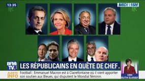 Après le départ de Laurent Wauquiez, qui sera le prochain dirigeant des Républicains?