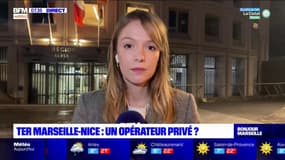 Marseille: un opérateur privé pour le TER Marseille-Nice?