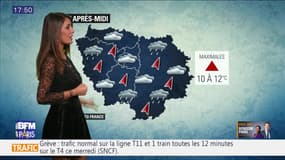 Météo Paris-Ile de France du 14 janvier: Un temps maussade jusqu'à demain