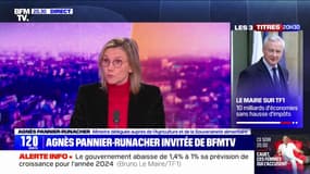 Agriculture: "On ne va pas résoudre en quelques jours leurs problèmes", affirme Agnès Pannier-Runacher