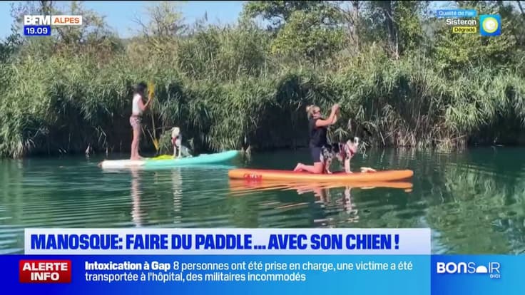 Manosque : faire du paddle ... avec son chien !  