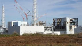 La procédure d'"arrêt à froid" des réacteurs de la centrale nucléaire de Fukushima-Daiichi, étape essentielle vers un règlement de la pire crise nucléaire au monde depuis Tchernobyl en 1986, a été menée à bien. L'accident dans la centrale en lui-même est