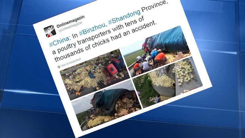 Capture d'écran du tweet de Onlinemagazin