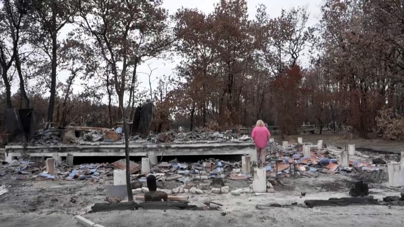 "Si je pouvais revenir, je reviendrai": après avoir tout perdu, une sinistrée de l'incendie en Gironde veut rester au Porge