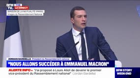 "Qu'il(s) retourne(nt) en Afrique": Jordan Bardella dénonce "une véritable chasse à l'homme contre un député de la République"