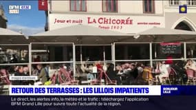 Retour des terrasses: les Lillois impatients