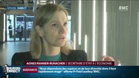 Avec ses annonces, Emmanuel Macron “a posé des orientations et un calendrier très concrets" pour la secrétaire d'Etat, Agnès Pannier-Runacher