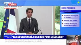 Pour Gabriel Attal, les mesures annoncées répondent "à une grande partie des attentes" des agriculteurs