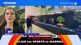 Aubagne: un championnat de France de bonzaïs organisé ce week-end