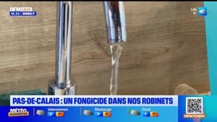 Un fongicide détecté dans une vingtaine de communes du Pas-de-Calais