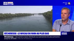 Sécheresse: le niveau du Rhin au plus bas