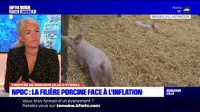 Nord-Pas-de-Calais: Sylvie Delforge explique la crise de la filière porcine