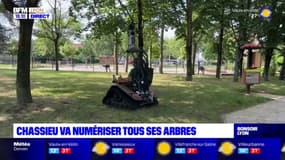 Chassieu va numériser tous ses arbres
