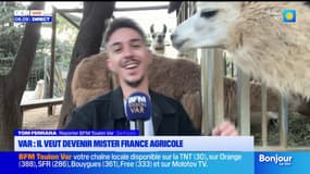 Var : il veut devenir Mister France Agricole 