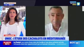 Planète Locale du mercredi 4 juin - UNOC, entretien avec François Sarano