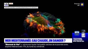 Méditerranée: quelles sont les conséquences de la hausse des températures de la mer?