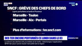 Grève à la SNCF: des TER encore perturbés ce lundi dans le Var