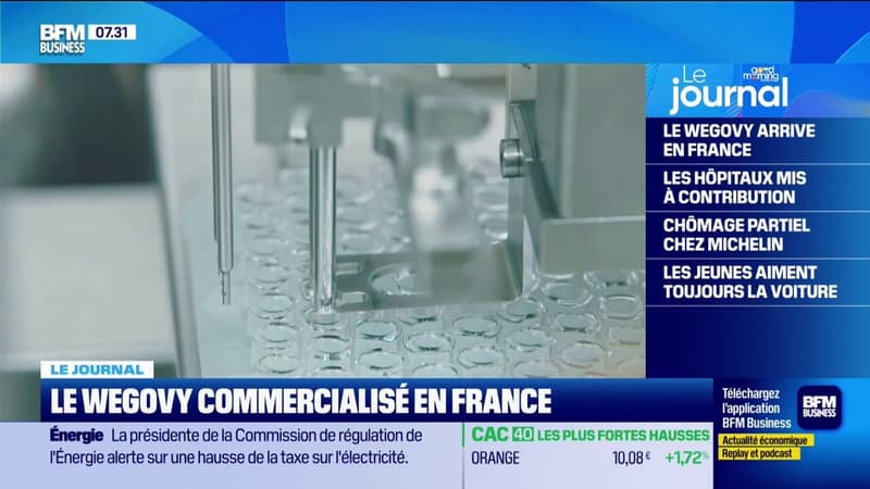 Le Wegovy commercialisé en France