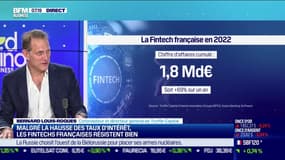 Malgré les baisses de financement, les fintechs vont bien, avec un chiffre d'affaires en hypercroissance (+69%)