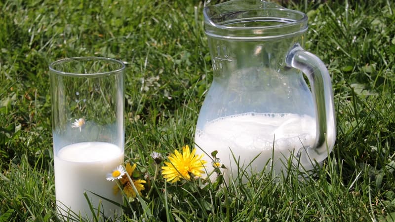 Sur les 3 milliards de litres de lait vendus chaque année en France, seuls 60 millions sont équitables.