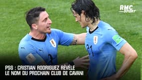 PSG : Cristian Rodriguez donne le nom du futur club de Cavani