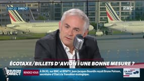 "Il faudrait planter 5 milliards d'arbres par an pour absorber le CO2 de l'industrie aérienne"
