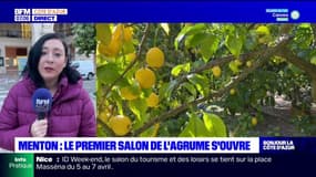 Menton: le premier salon de l'agrume ouvre ses portes ce vendredi