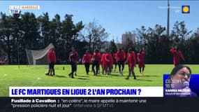 Le FC Martigues en Ligue 2 l'an prochain?