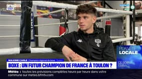 Touon: portrait de Maxime Carle, champion régional de boxe 