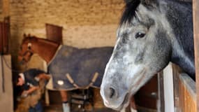 Centre équestre dans l'ouest de la France (Photo d'illustration)