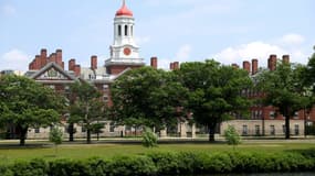 Le campus de l'université d'Harvard le 22 avril 2020