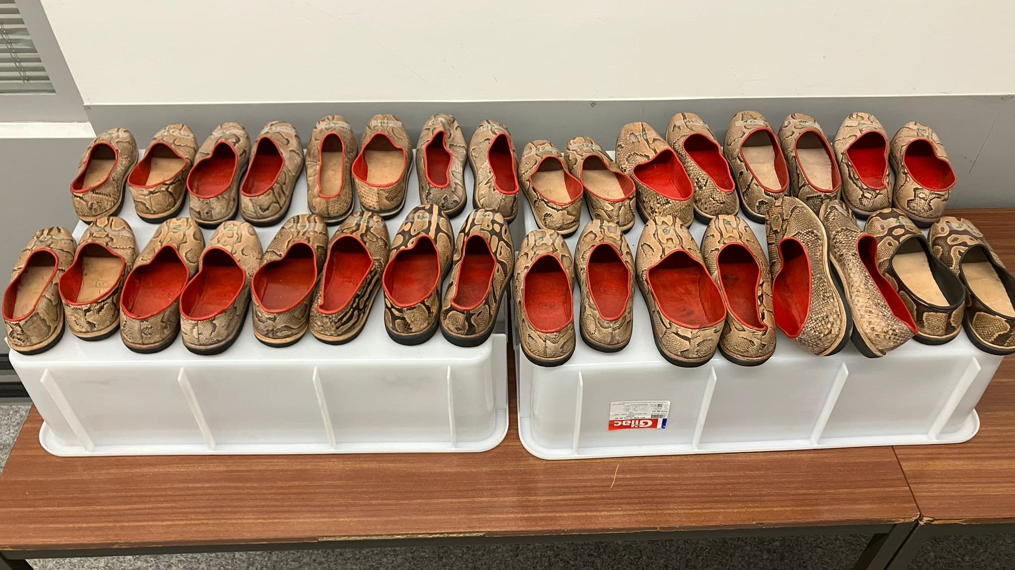 Des chaussures en python ont été abandonnées à l'aéroport Roissy-Charles-de-Gaulle.