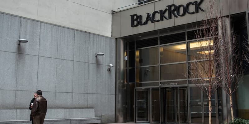 Le Fonds Blackrock, leader mondial de la gestion d'actifs, a la puissance pour faire avancer ses idées. 