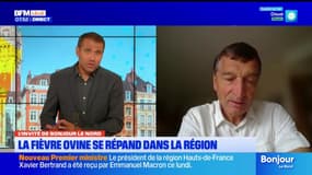 Hauts-de-France: la fièvre ovine se répand dans la région