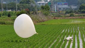 Un ballon en provenance de Corée du Nord tombe dans un champ sud-coréen, le 10 juin 2024.