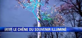 Hommage aux victimes des attentats: le chêne du souvenir illuminé place de la République